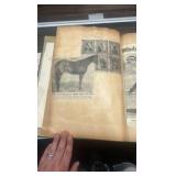 original 1950s Windy City scrapbook by owner Gus luellwitz