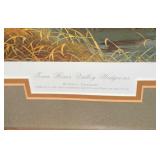 Framed print of ducks