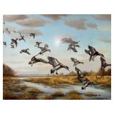 Framed print of ducks