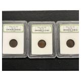 Indian Head Cents