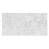 Dalite Pallet of 22 Cases (2 tile per case) of- Santa Loma Snowfall 24 in. x 48 in. Polished Porcelain Stone Look Floor and Wall Tile (15.5 sq. ft. /case) (Total of 341 Sq. Ft.)