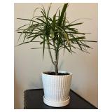 Side Table, Magazine Rack, Trash Can & Plant Mixed Lot