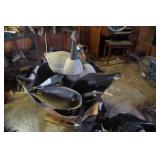 Large Lot of Canadien Goose & Mallard Duck Decoys