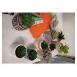 Huge lot of garden and outdoors...