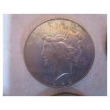 Silver Dollars