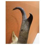 Antelope Mount