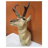 Antelope Mount