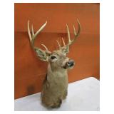 Deer Mount