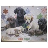 Home Decor Pictures