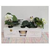 Set of 3 Geranium Potted Arrangements - Threshold Studio McGee Decorative Plants