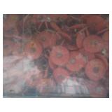 Bucket of plastic cap roofing nails...