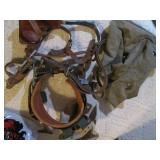 Variety of pole climbing gear...