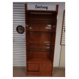 Lighted Book/Display Shelf with Glass Shelves