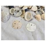 Precious Moments Enesco Mugs, Sea Shells, and Decorative Items