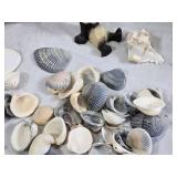 Precious Moments Enesco Mugs, Sea Shells, and Decorative Items