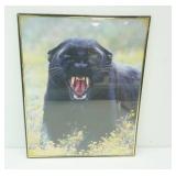 Framed Art Photo Print Black Panther 16x20"