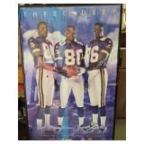 Vikings Poster Framed