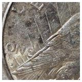 1923s Peace Dollar $1 XF, Gold Toning