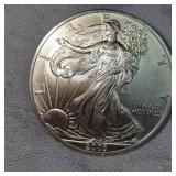 2006 American Silver Eagle, UNC