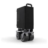Kinderkraft Rollster Foldable Wagon