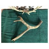 Imitation Deer Horns - One is a Candle Holder and the other is a cribbage board