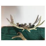 Imitation Deer Horns - One is a Candle Holder and the other is a cribbage board