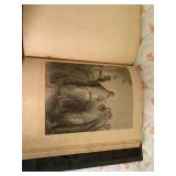 Vintage bible, possibly wood or lea...