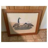 (3) Goose pictures...