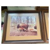 Buffalo framed pictures and book...