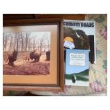Buffalo framed pictures and book...