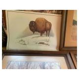 Buffalo framed pictures and book...