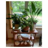 Wood shelf with (3) live plants...