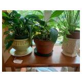 Wood shelf with (3) live plants...