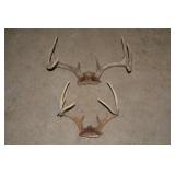 (2) Sets of deer antlers...