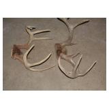 (2) Sets of deer antlers...
