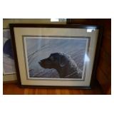 Dog pictures...
