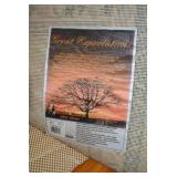 (2) Rugs - large area and other sma...