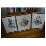 Assorted floral pictures...