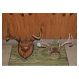 (2) Sets of deer antlers, one mount...
