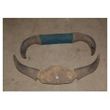 (2) Sets of buffalo horns...