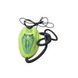 Retail value: about $75–$150 new Eurosteam Green Pro-Steamer with Wand Attachment