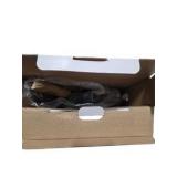 Parini 10.5" Pre-Seasoned Cast Iron Deep Skillet Open Box