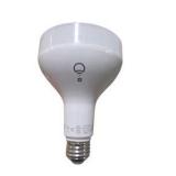 Assorted LED & Smart Light Bulbs Lot - Govee RGBWW, EcoSmart PAR38, Sengled, Philips, GE, Estone, Feit, LIFX, Ilumi