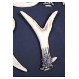 Antler Letter Wall Decor Set (5 Pieces)