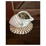 Shell W/ Plant & Shell May