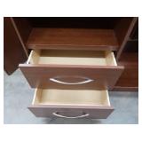 2) 2 DRAWER CABINETS