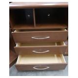 2) 3 DRAWER CABINETS