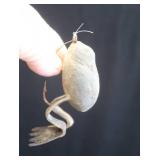 VINTAGE DECOYS & TACKLE