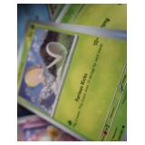 POKEMON PLUS