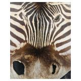 ZEBRA HIDE on felt backing